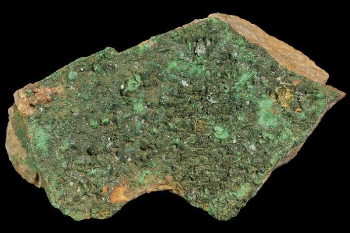 Kolwezite (Rare Copper Mineral) Cluster - Kolwezi, Congo #146754